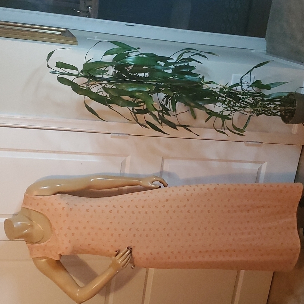NWT, Lula Roe Maxi Dress Sz. Med, 5/$50